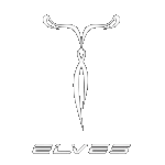 ELVES